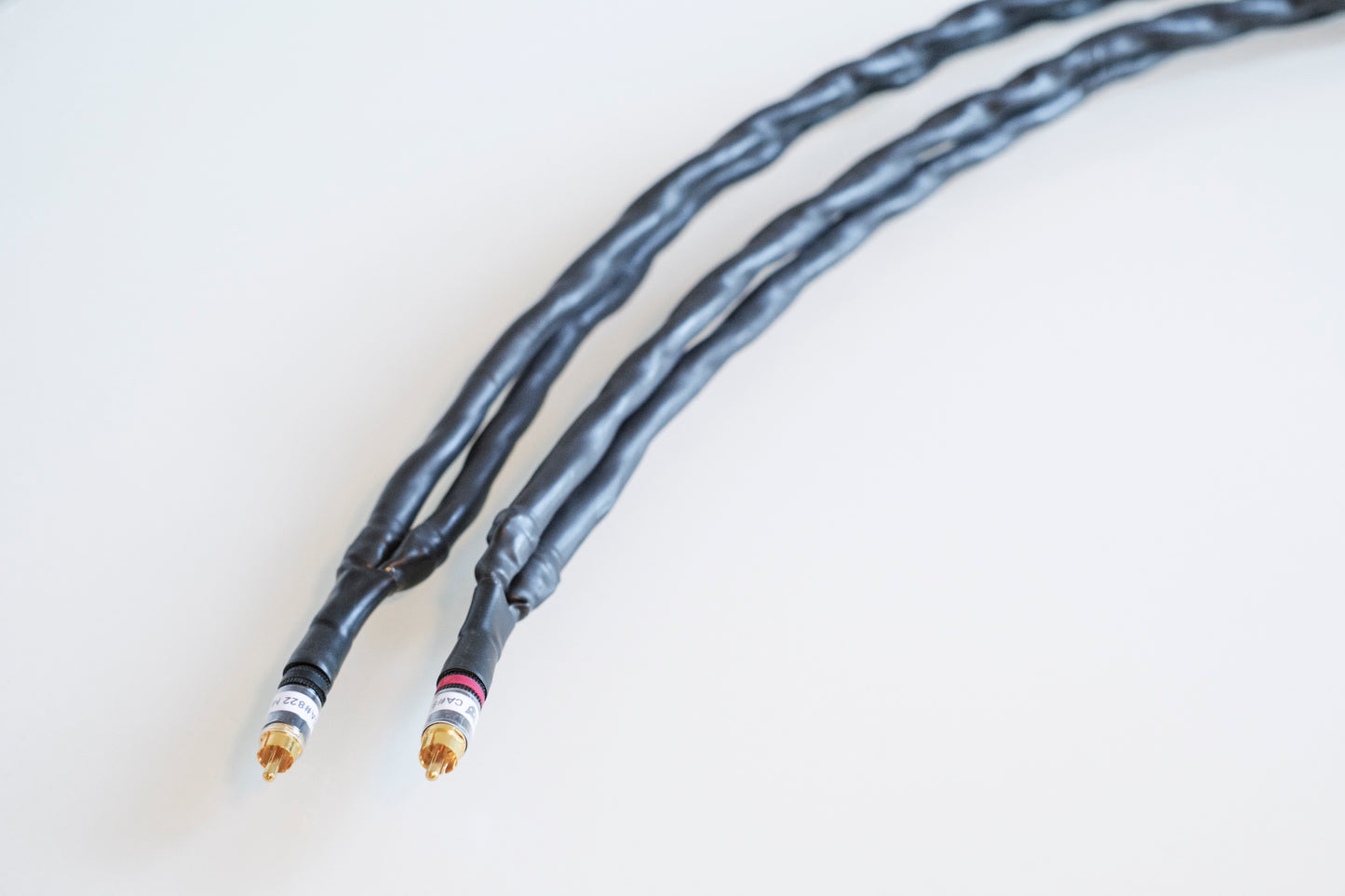 VL CARBON AGE™ MASTER Cinch/RCA 80cm