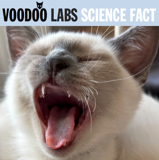 Science Fact #103