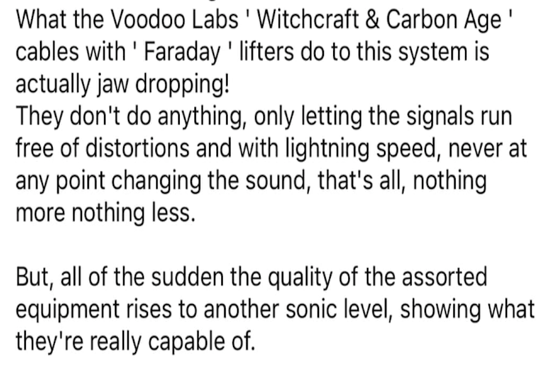 VL  CARBON AGE™ MADNESS Speaker Cable 2m