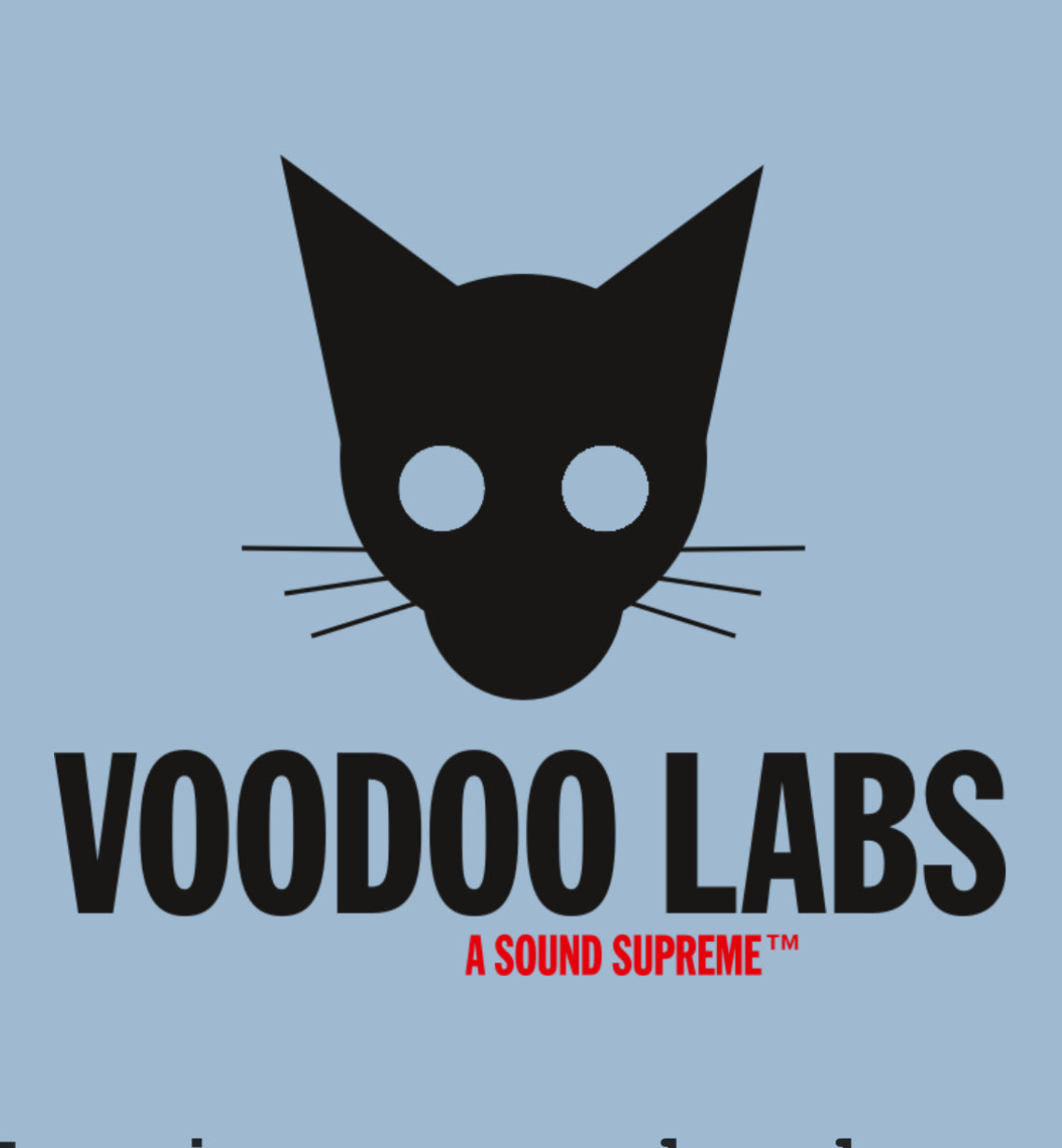 Voodoo Labs